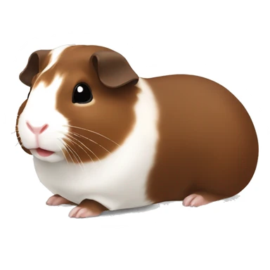 Guineapig dark brown white and red sticker