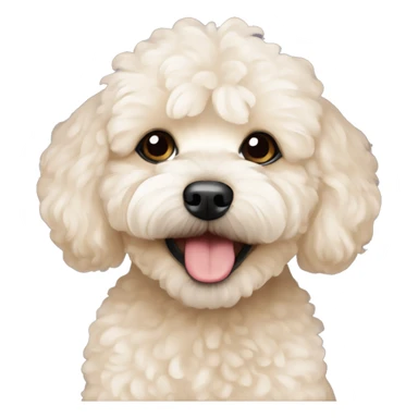 Happy new year mood beige maltipoo sticker