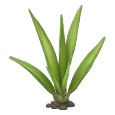Yucca sticker