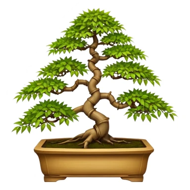 Twisted bamboo floor shelf unit displaying maples and hawthorns bonsai plants(in shallow bonsai pots) cluttered because they have too many  sticker