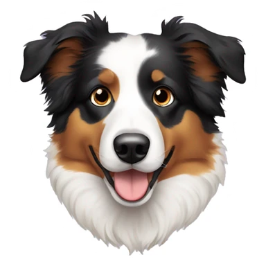 Australian shepherd with black eyes and breaded with border collie  sticker