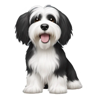 Black and white havanese  sticker