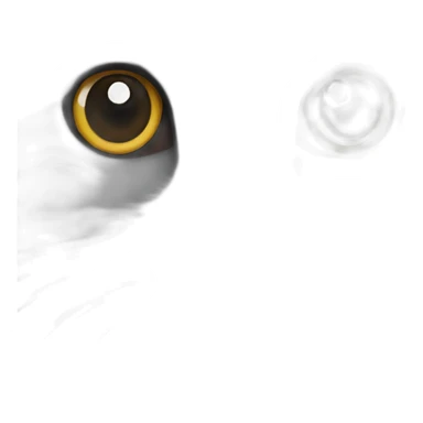 all darkgray Scottish Fold Cat long hair broken ear sticker