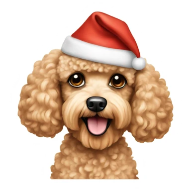 Miniature apricot poodle wearing a Santa hat sticker