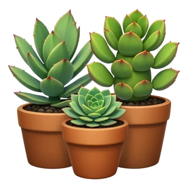 group of three different succulents sticker