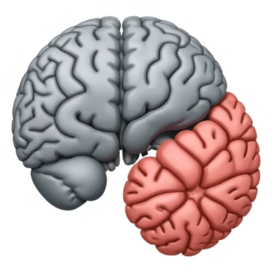 left and right hemispheres of brain sticker