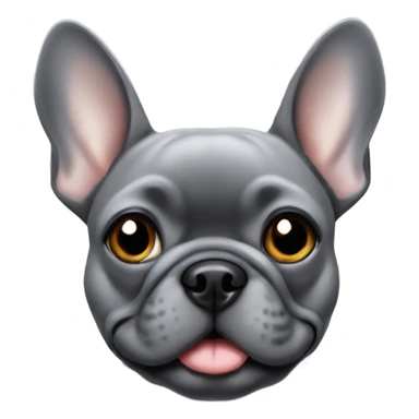 grey frenchie with grey eyes sticker