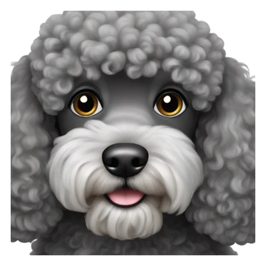 Black Grey miniature poodle sticker