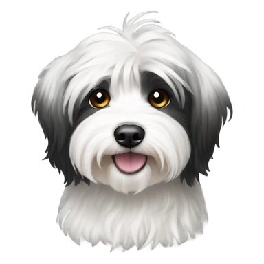 Black and white havanese sticker