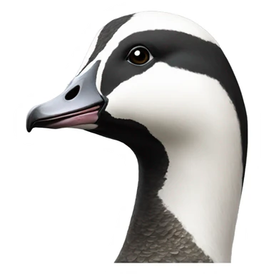 Barnacle goose sticker