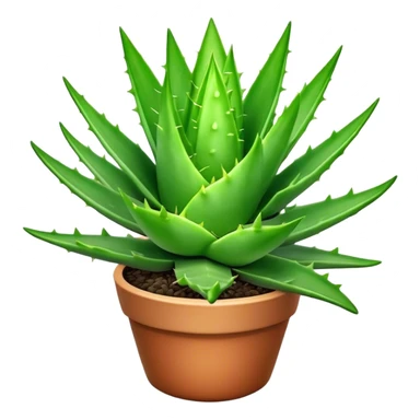 Cinematic Realistic Aloe Vera Emoji, Plump and succulent, with thick, fleshy leaves arranged in a star-like rosette. The vibrant green leaves have a slightly spiky texture, exuding a sense of resilience and healing. Soft glowing outline, capturing the essence of natural wellness and desert vitality in a flourishing aloe vera plant! sticker