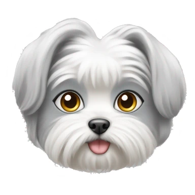 Maltese with white and grey cat sticker