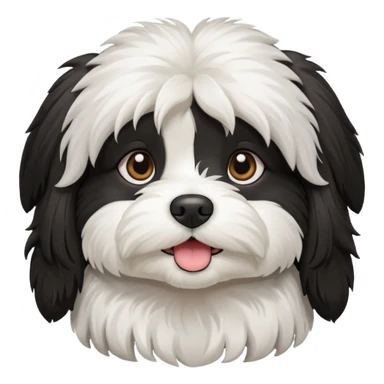havanese female dog black and white sticker