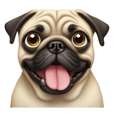 large pug with tongue out and bug eyes sticker