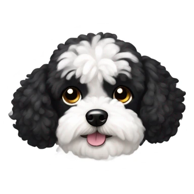 Black and white  maltipoo sticker