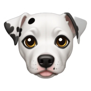 skinny jack russel pitbull mix white with black spots sticker