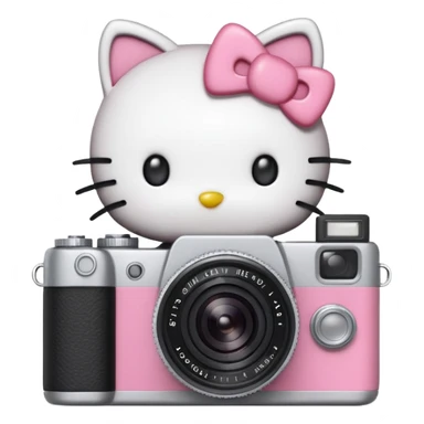 Hello kitty with a camera sticker