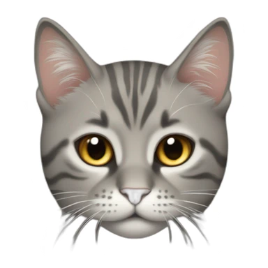 gato musculoso sticker