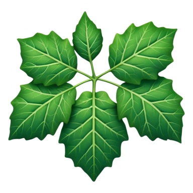 Ivy leaf  sticker