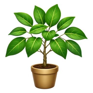 FICUS NATASJA sticker