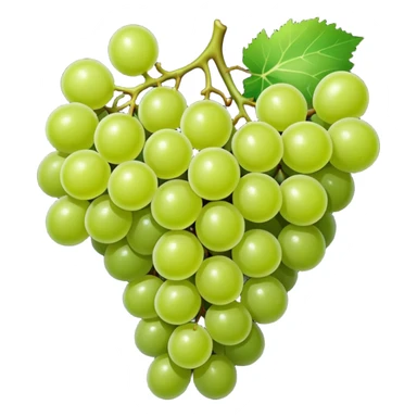 Fruit anggur sticker