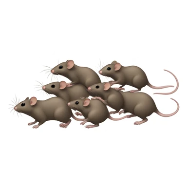 bunch of rats running sticker