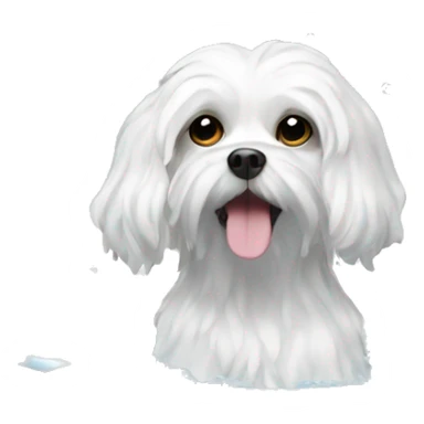 Maltese dog in a bath with bubbles  sticker