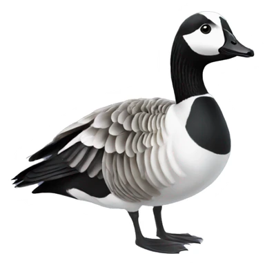 Barnacle goose sticker