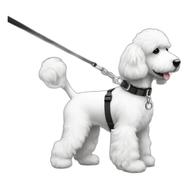 side profile medium sized black and white ausssiedoodle on a leash sticker