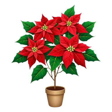 super big bouquet Poinsettia, stem, leaf, no pot sticker