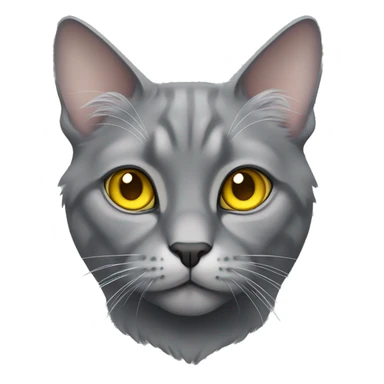 gray lop-eared cat with yellow eyes sticker