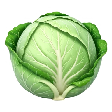 white cabbage   sticker