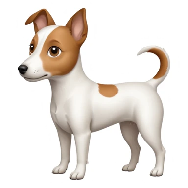 a fully white jack russell the size of a kelpie with light brown ears and a light brown patch on one eye sticker