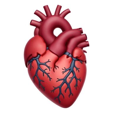 Burgundy anatomical heart sticker