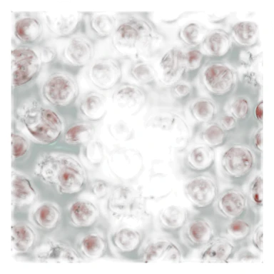 ladybug macaron sticker