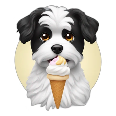 A black and white Maltese spitz eating an ice cream sticker