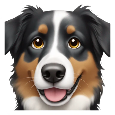Black and white Australian Shepherd dog with tan eyebrows and his tongue sticking out slightly. sticker