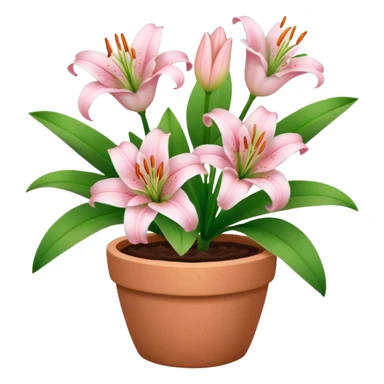 light pink lily flowers in a clay pot sticker