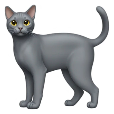 Korat Cat Full Body sticker