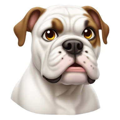 white bulldog with brown left ear sticker