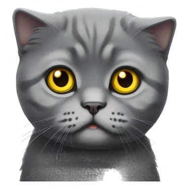 Dark Gray Scottish fold cat w yellow eyes  sticker