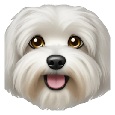 Bichon Havanese dog head sticker