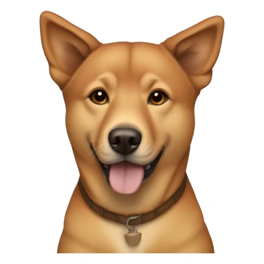 All brown Jindo dog with tortoise shell coloring, without any white fur sticker