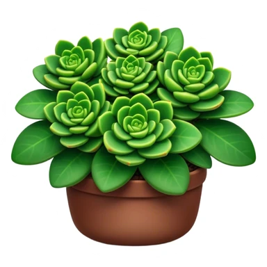 Cinematic Realistic Crassula Emoji, Compact and vibrant, with small, fleshy leaves arranged in thick, rounded clusters. The deep green hue of the leaves radiates calm, while their structured growth speaks of endurance. Soft glowing outline, capturing the essence of perseverance and tranquility in a crassula plant! sticker