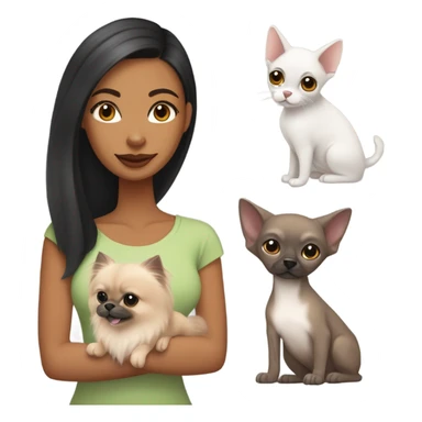 Latino woman with black staight hair and brown eyes is holding a grey sphynx cat and a ginger pomeranian dog sticker