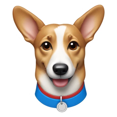 Wiener dog/corgi face tan and white, with red collar and blue dog tag sticker
