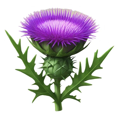 milk thistle sticker