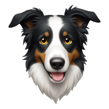 Border collie guiñando ojo sticker