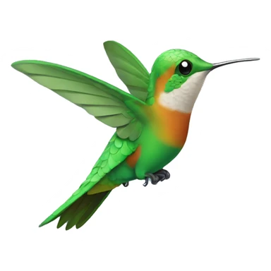 un colibri  sticker