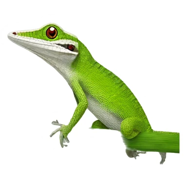 Upland Grass Anole sticker